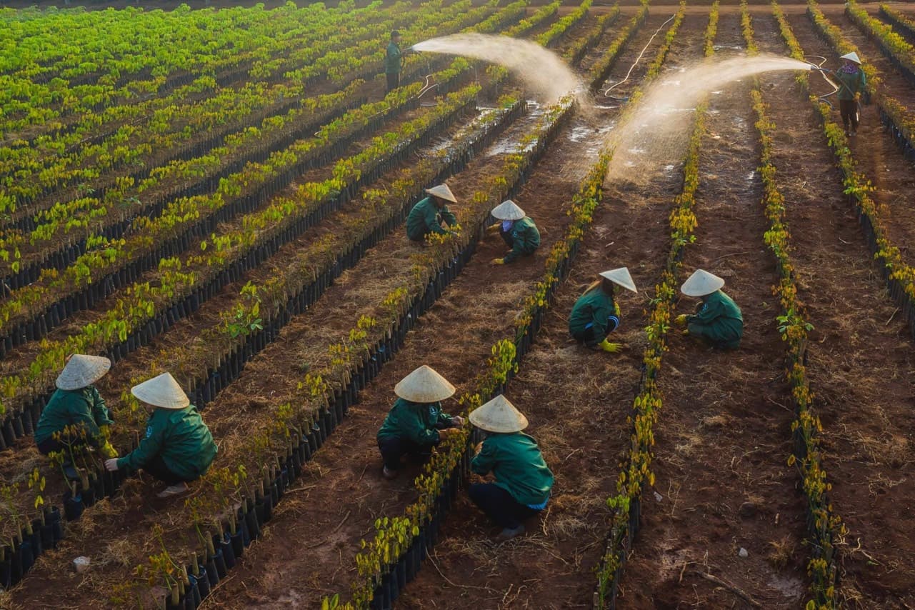 Môi trường xanh Ngọc Y